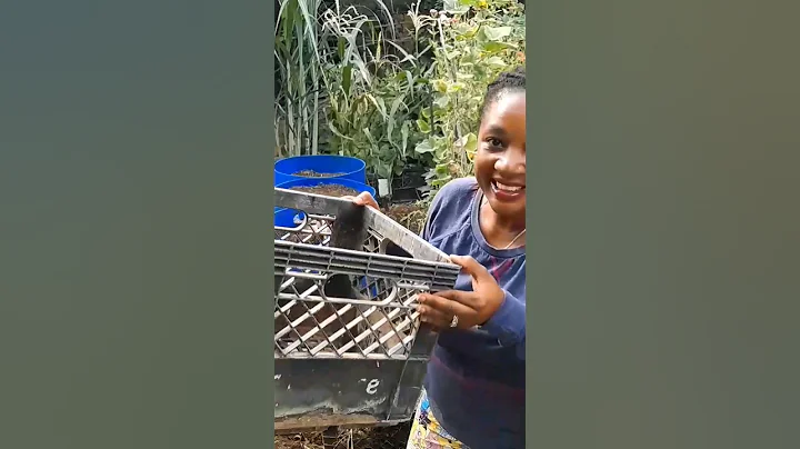 Garden Improvement  #youtubeshorts #short #farming #food #home #viral #kitchen #diy #asmr #trending