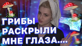 ГРИБНОЙ ТРИП ДЕВАЧКИ ОЙ ШО ТВОРИЛОСЬ и на этом закончим с темой нехорошей #Вавилонская девств