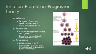 NURS 221 Chapter 7: Altered Cell Proliferation & Differentiation