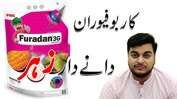 Carbofuran Insecticide Guide Effective Control for Pests in Sugarcane, Maize, and Rice