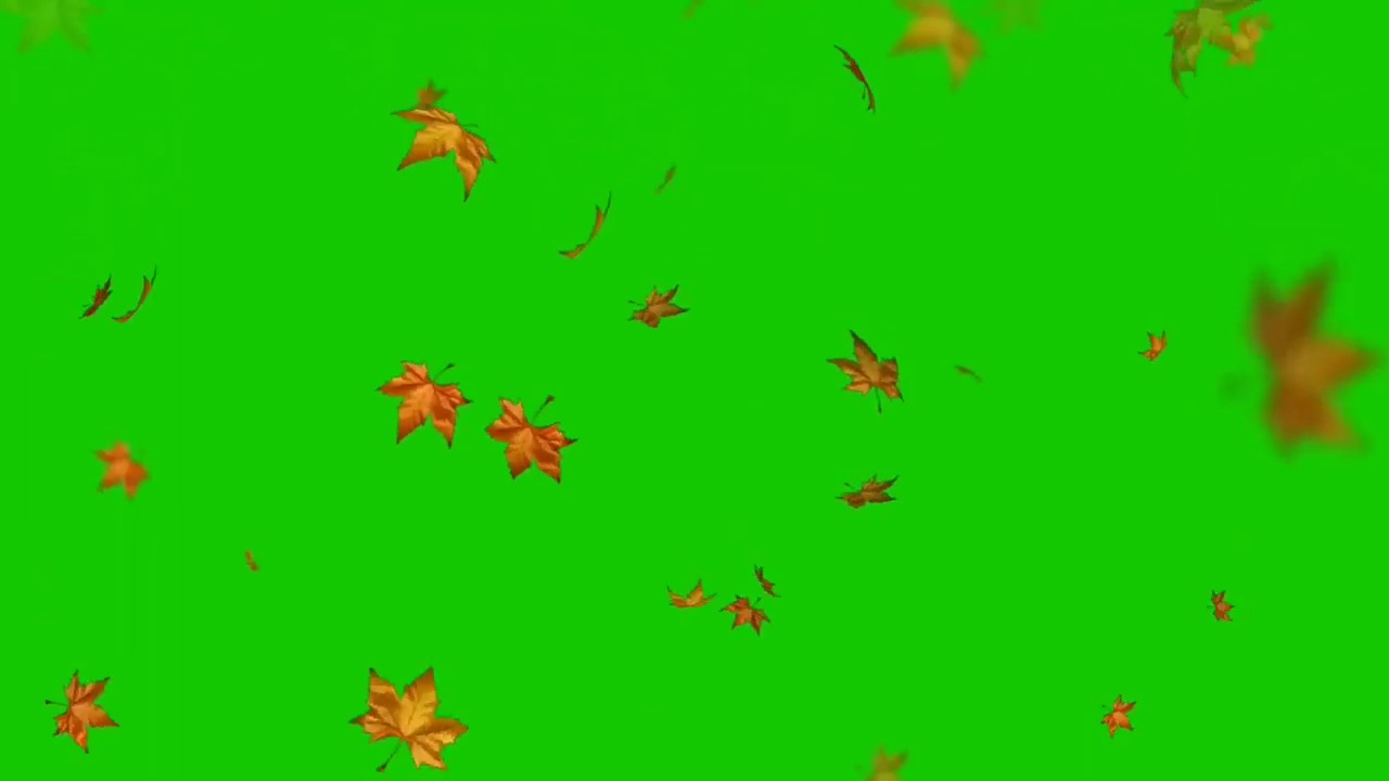 falling leaves after effects download