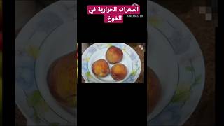 السعرات الحرارية في الخوخ food chip cooking boiledshrimp