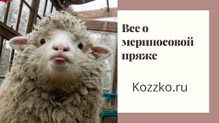 картинка: Все о мериносовой пряже 2