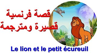 le lion et le petit écureuil قصة فرنسية قصيرة ومترجمة