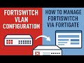 How to Manage FortiSwitch via FortiGate | VLAN Creation & Port Assignment Step-by-Step