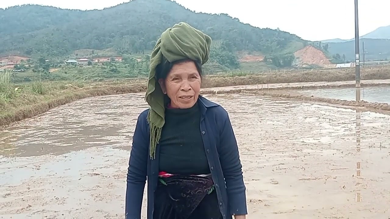 Ông bà Chung gieo ruộng cho vụ mới