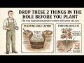 Drop These 2 Free Items in the Hole ONCE — Feed Your Garden All Season