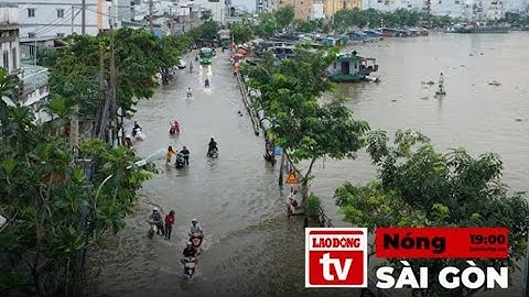 Sài Gòn Sẽ GIẢI QUYẾT Ngập Ở Đường Trần Xuân Soạn Như Thế Nào?