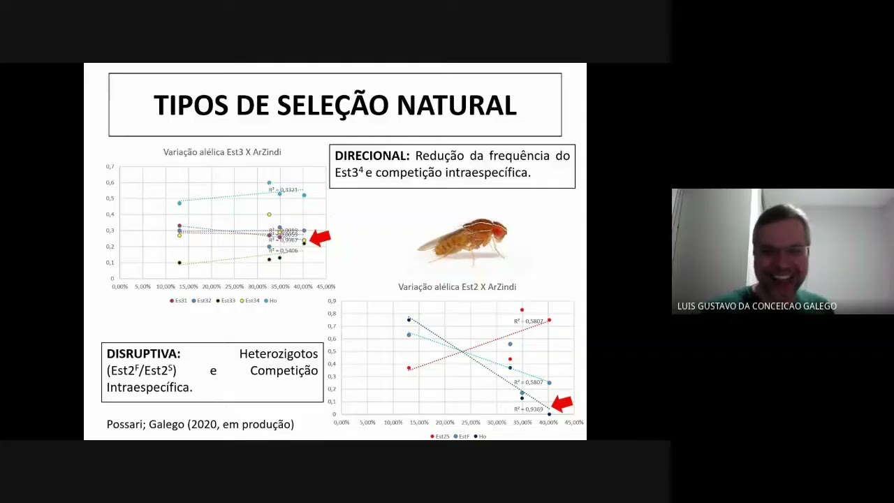 Seleção Natural  - Parte 3
