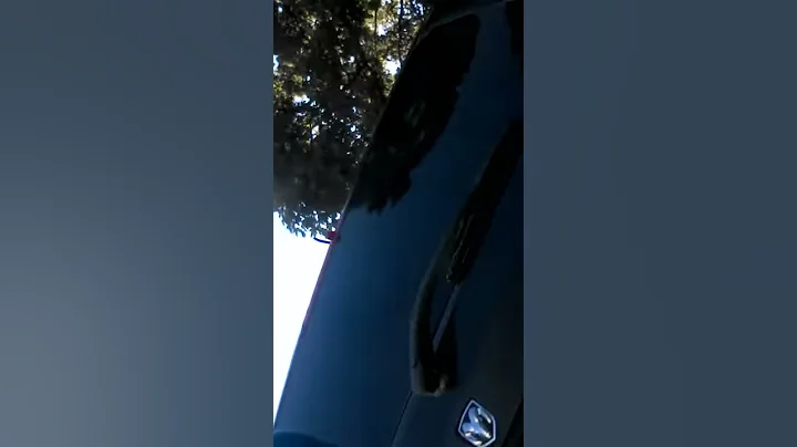 The first video