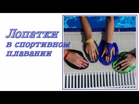 Лопатки в спортивном плавании