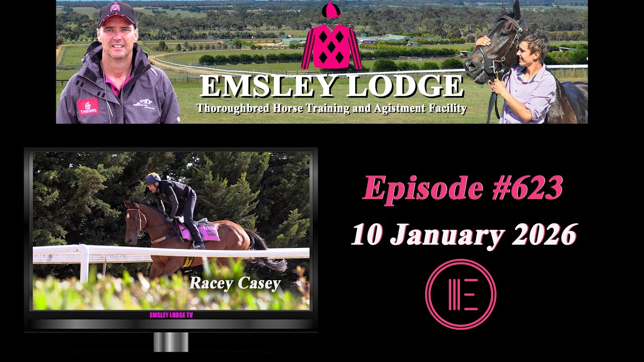 Отчет Эмсли Лодж от 10 января 2026 г.