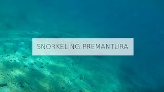 Snorkeling on Premantura - Istria Croatia - Relaxation music - 1060p 60fps