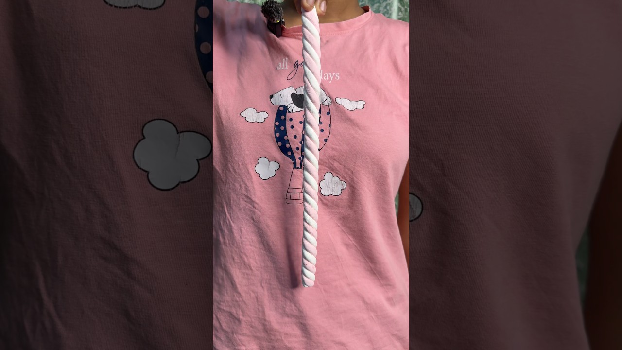 Rope 😍| #viral #funny #ytshorts #comedy #shorts #short #youtubeshorts #trending #love #yt