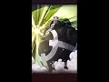 Review Kuma หรือจะเป็น Tank ระดับ SS ที่ดีที่สุดในเกม - Sea Legend AFK (One Piece) - EP.06