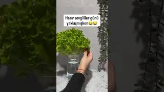 Çok Iyi Ya Şfetteyizzz Ünü