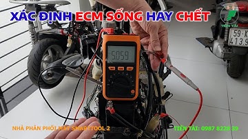 Máy Đọc Lỗi Smarttool 2 - Cách Xác Định ECM Sống Hay Chết | Tiến Tài Fi