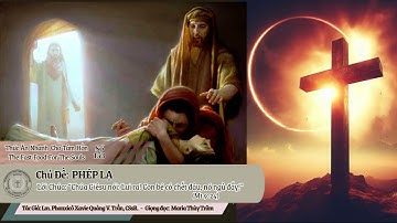 Thức Ăn Nhanh Cho Tâm Hồn Số 153_PHÉP LẠ_Lm Phanxicô Xavie Quảng V. Trần, CSsR