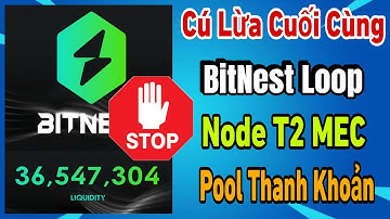 BitNest - Cú lừa cuối cùng từ BitNest Loop,Node T2,MEC token,Pool thanh khoản nên dừng và chờ đợi
