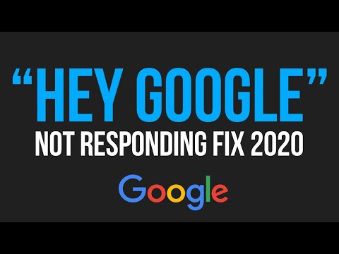 Hey Google not Responding - FIX 2020