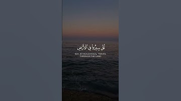 القارئ: ياسر الدوسري، سورة الروم (٤١-٤٣).