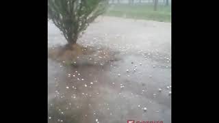 Pedrada en Tres Algarrobos esta mañana