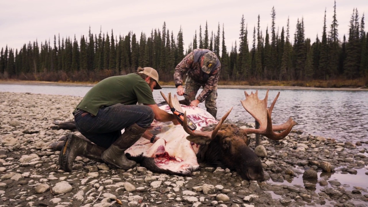 RazorMax makes light work of a Yukon Moose