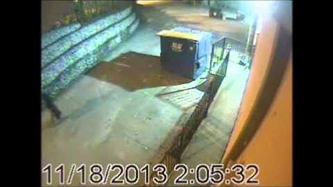 February Catch of the Month - Guns Drawn