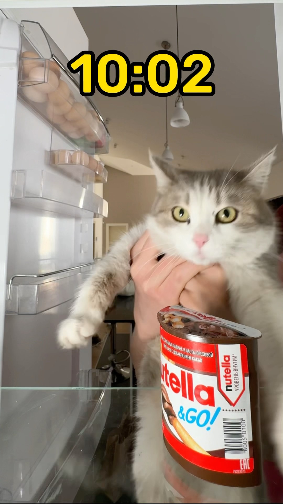 Our cat Lucy always steals the treats ?