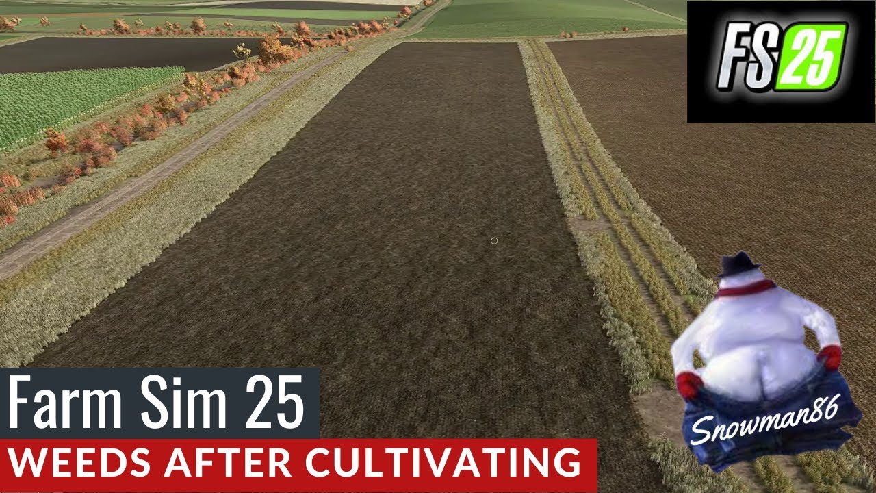 FS25 - Cultivation effect on Weeds - YouTube