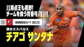 【チアゴ サンタナ（清水エスパルス）プレー集】J1得点王も視野！チームを救う背番号「9」！！｜明治安田生命J1リーグ 2021-2022