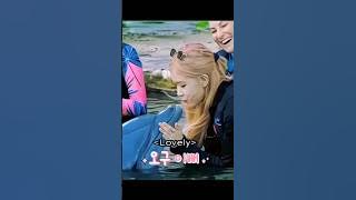 Rosé kissing the dolphin #blackpink #rosé #kpop #foryouシ #shorts