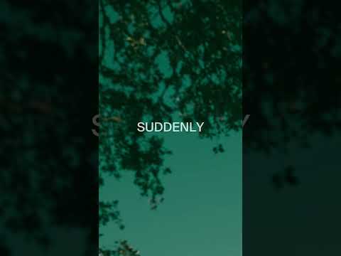 Suddenly. From the new album Fondness, Etc. - out May 15th. Pre-order / pre-save now. #newmusic