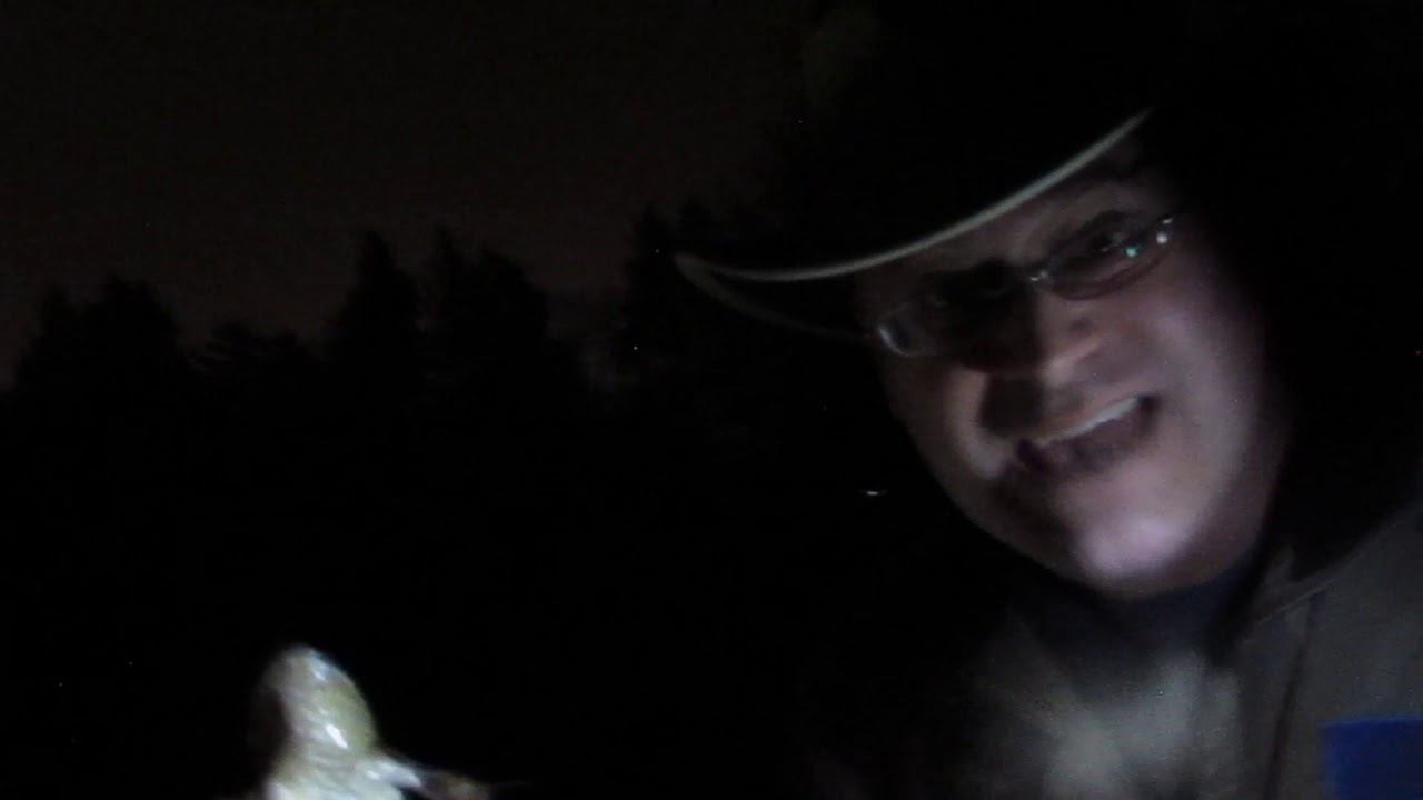 MetroPark Amphibian Adventure