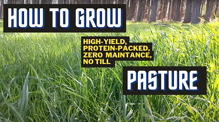 Yes, You Can Grow Pasture Without ANY Machines