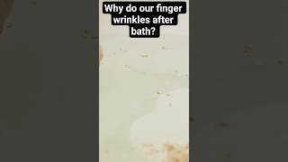 Why do our fingers wrinkle in water? #facts #science #curiosity #viral #ytshort