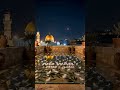 🕊️ Flooding Jerusalem Terrace with Olive Branch Resin | NO WAR | ASMR Epoxy