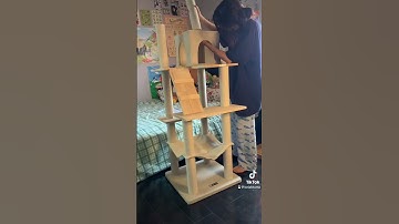 cat tree unboxing + setup! ☆ #tiktok #unboxing #cat #catree