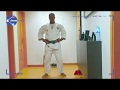 Judo |  Nery SFOA