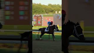 2026 DraftKings Travers Stakes 🏇🏼
