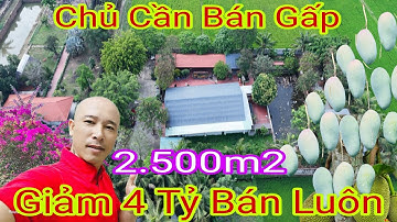 🛑Bán Gấp Giảm 4 Tỷ Biệt Thự Nhà Vườn Củ Chi 2500m2 Có Vườn Cây Ao Cá