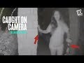 Who is this Mysterious Woman in Shackles? | Caught on Camera: The Untold Stories