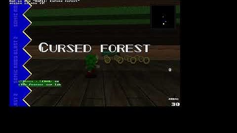 SRB2 v2.2.9 - Multiplayer - VoiD EXE Survival part 3. (Site19 Alpha v1.2 and Cursed Forest zone)