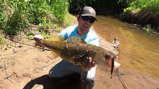 HUGE FISH CAUGHT in the ALLEGHENY RIVER!!