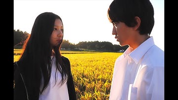 映画『光を追いかけて』予告編