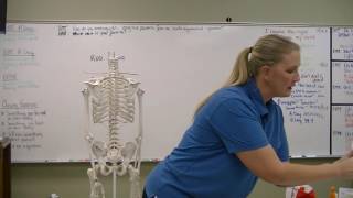 Ch 06 01 Skeletal 20161103