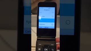AT&T Cingular Flip IV ringtones and alerts