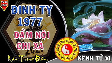 Tử vi trọn đời tuổi Đinh Tỵ 1977 nam nữ mạng năm 2021 Tân Sửu - Chính xác đầy đủ nhất