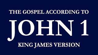 John 1 | King James Version (KJV) Audio Bible Reading | Narrated by Steve Ram