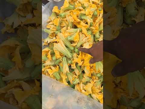 Pumpkin Flowers Harvesting In My Kitchen Garden Love Song Music Coversong 